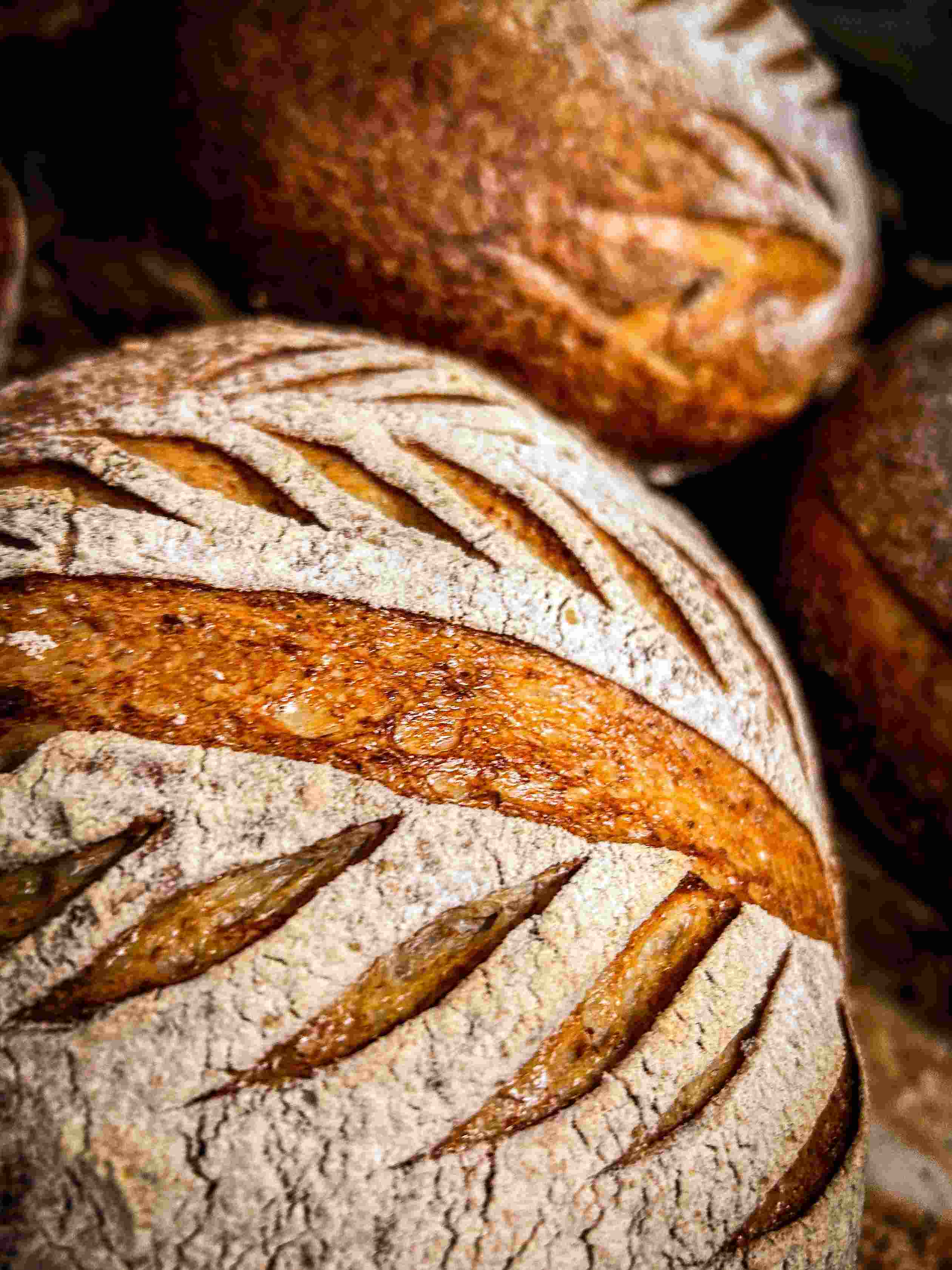 Sourdough loaves cooling on a wire rack